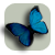 Fae's Website
